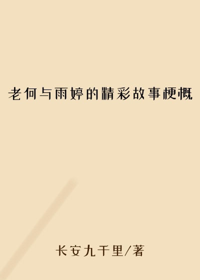 老何与雨婷的精彩故事梗概
